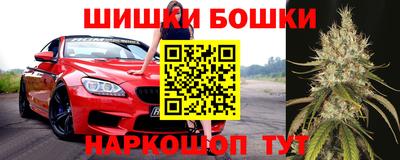 прущие крисы Будённовск