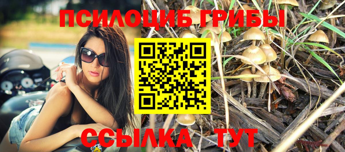 Псилоцибиновые грибы мухоморы Миллерово