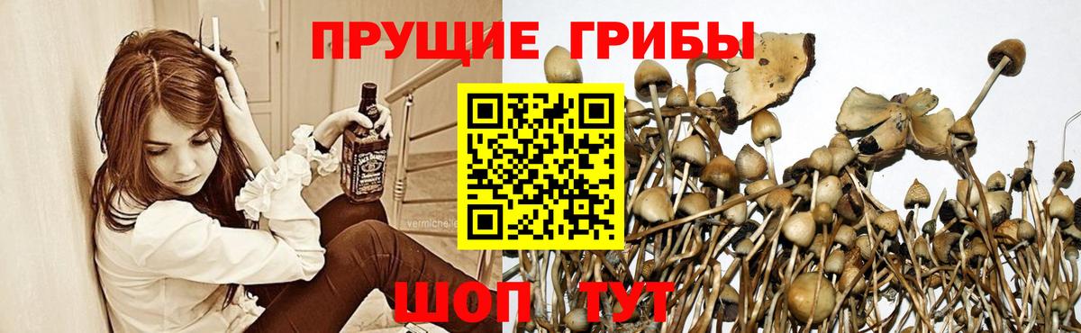 купить закладку  Вход с VPN  Миллерово  Галлюциногенные грибы мухоморы 